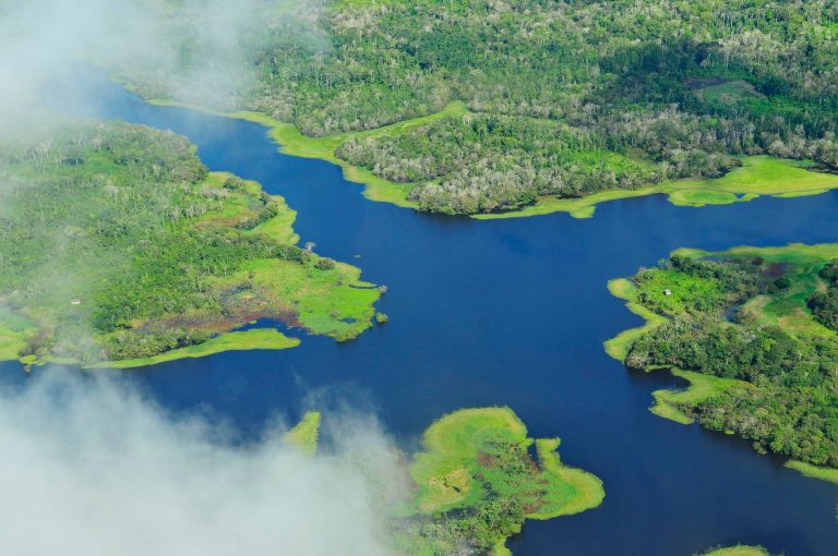 Metas brasileiras de redução das emissões estão focadas no fim do desmatamento ilegal em todos os biomas, na restauração e reflorestamento, na adoção da taxa de reflorestamento, na agricultura de baixo carbono, na ampliação das fontes renováveis de energia e na eficiência energética