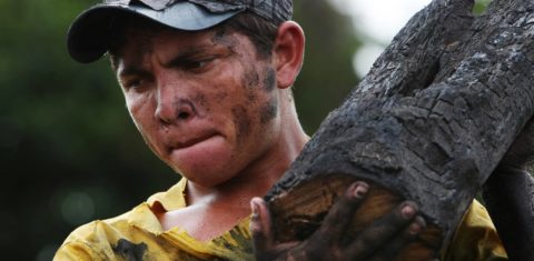 Jovem carvoeiro carrega tronco num dos muitos fornos clandestinos da Região Amazônica. Foto Antonio Scorza