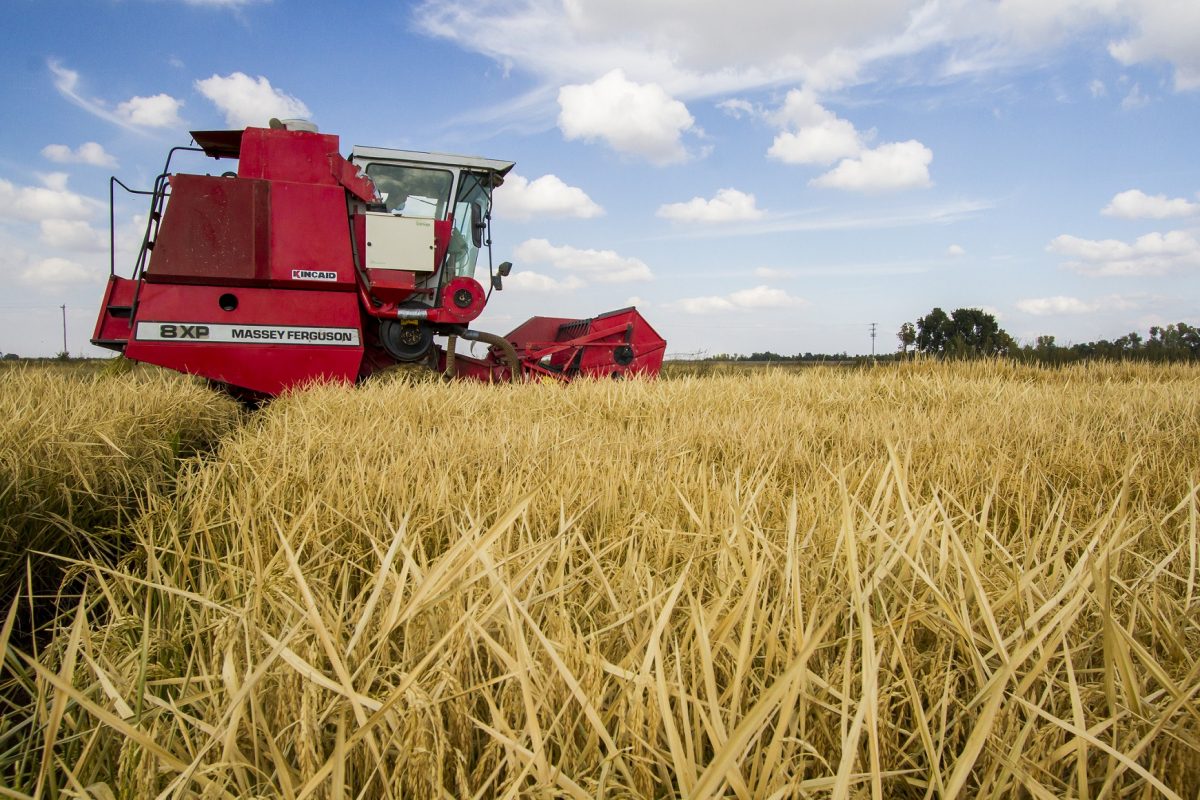 A dependência das commodities agrícolas, como a soja, é um das principais razões do despreparo da América Latina para um crescimento de longo prazo
