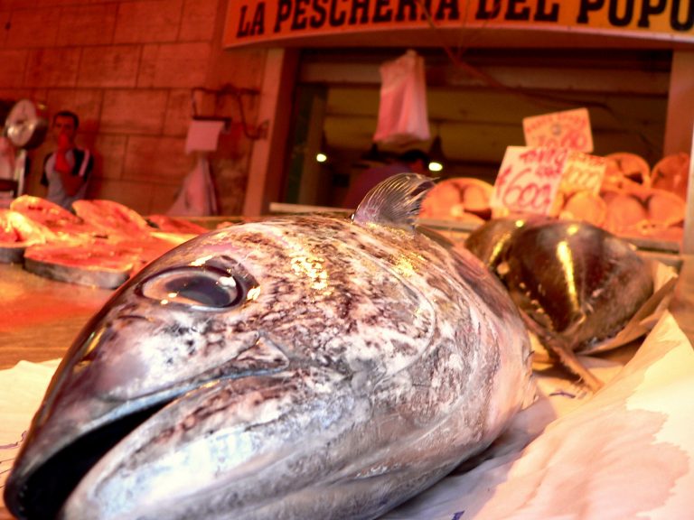 A situação é mais grave no Atlântico Norte, onde a vasta maioria das espécies, como bacalhau, solha e linguado experimenta queda em seus números