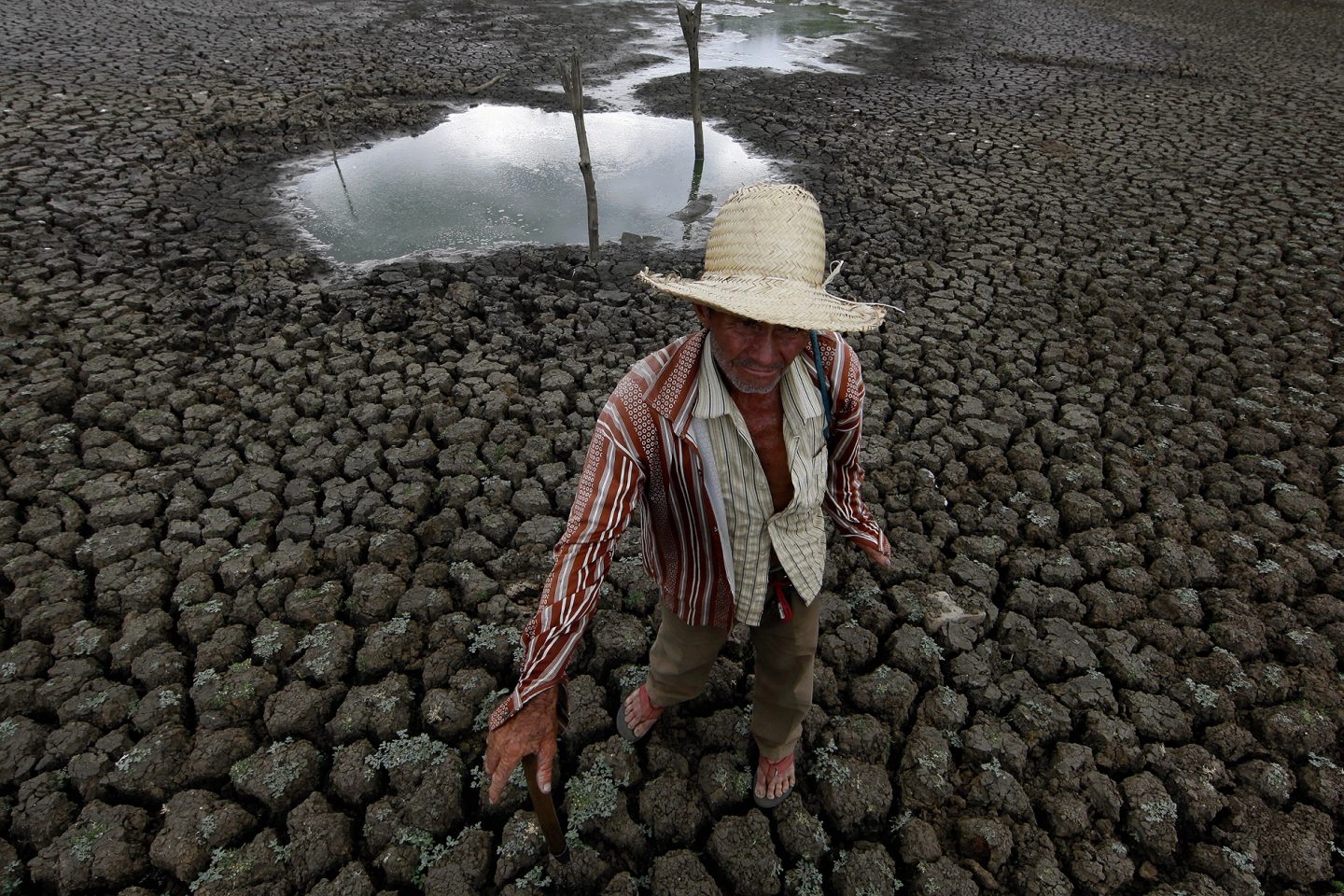 A seca no Nordeste, retratada por Severino Silva, também estará na exposição em São Gonçalo. Foto Severino Silva