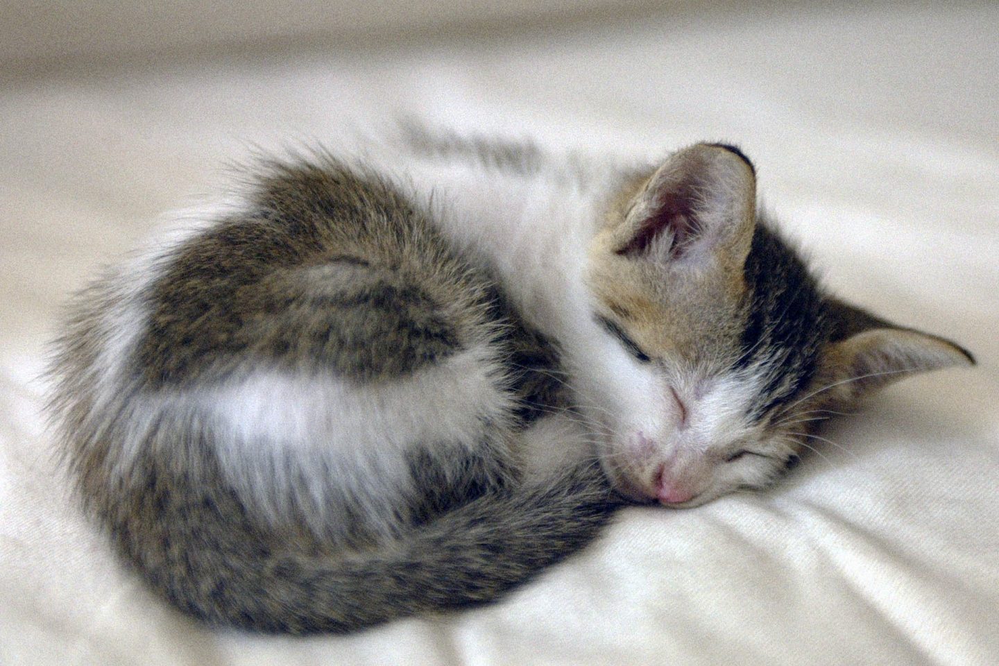 Angela: "Meu filho dormindo no sofá, como sempre, kkkkkkkkkkk!”