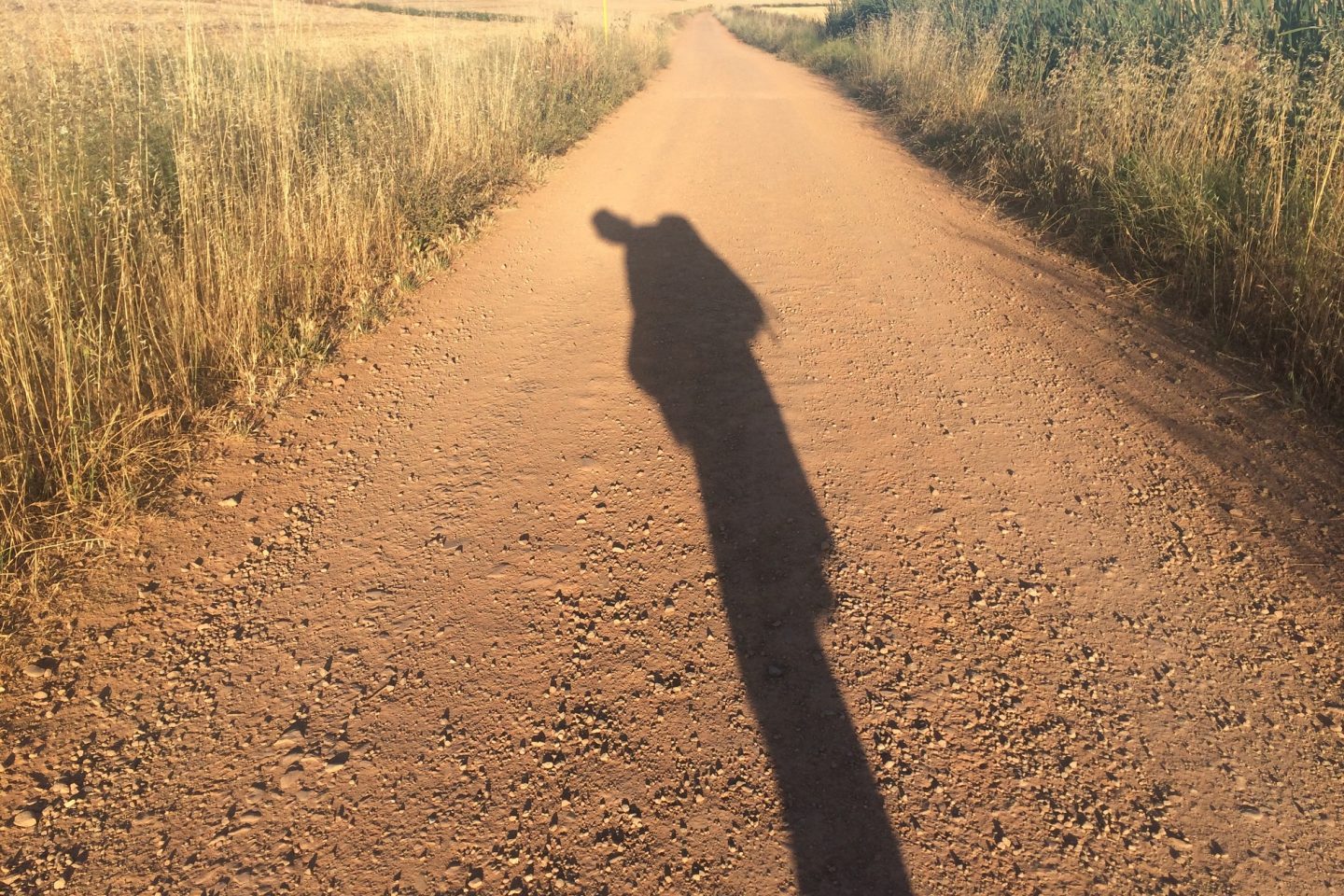De manhã a sombra do corpo se estende à frente dos peregrinos por dez, vinte, trinta metros no chão