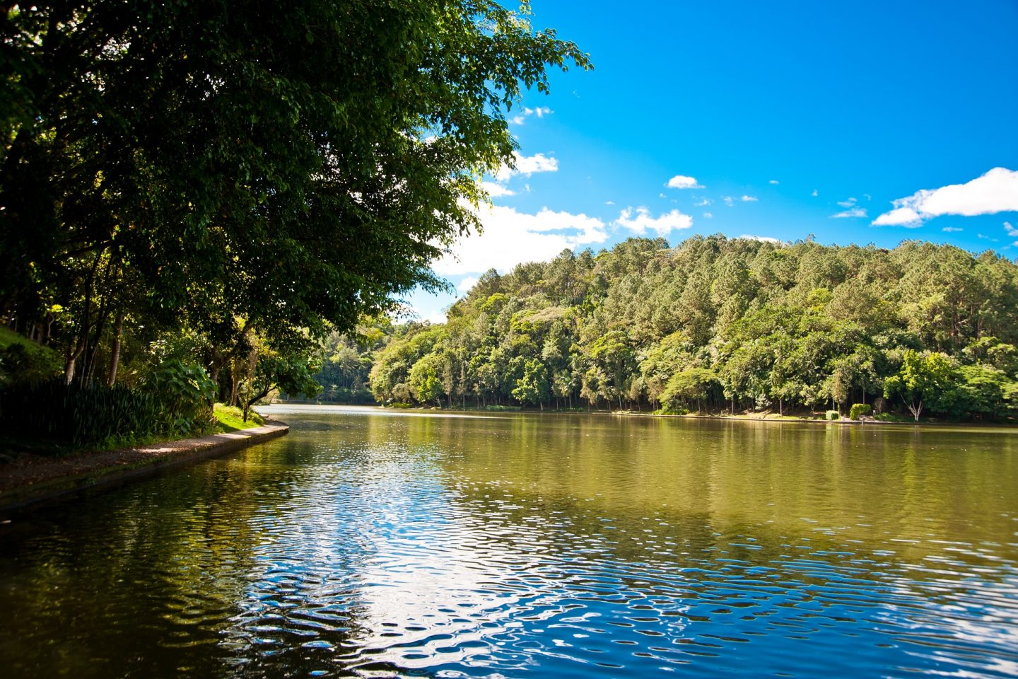 O Parque Malwee, em Jaraguá do Sul, tem 1,5 milhão de metros quadrados e 16 lagoas, (a maior delas com cem mil metros quadrados