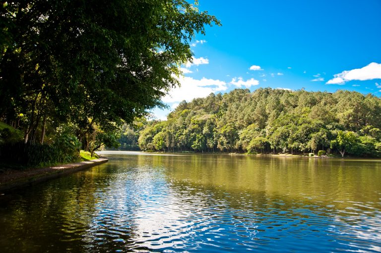 O Parque Malwee, em Jaraguá do Sul, tem 1,5 milhão de metros quadrados e 16 lagoas, (a maior delas com cem mil metros quadrados
