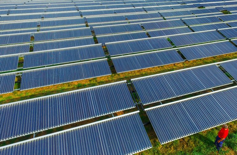 Parque solar/ Foto de Patrick Pleul/ DPA/ AFP