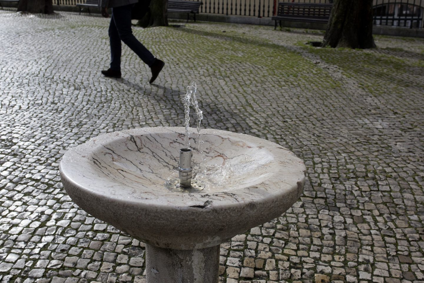 Sede? Sempre havia um bebedeouro por perto. Anne-Sophie Bost / AltoPress / PhotoAlto