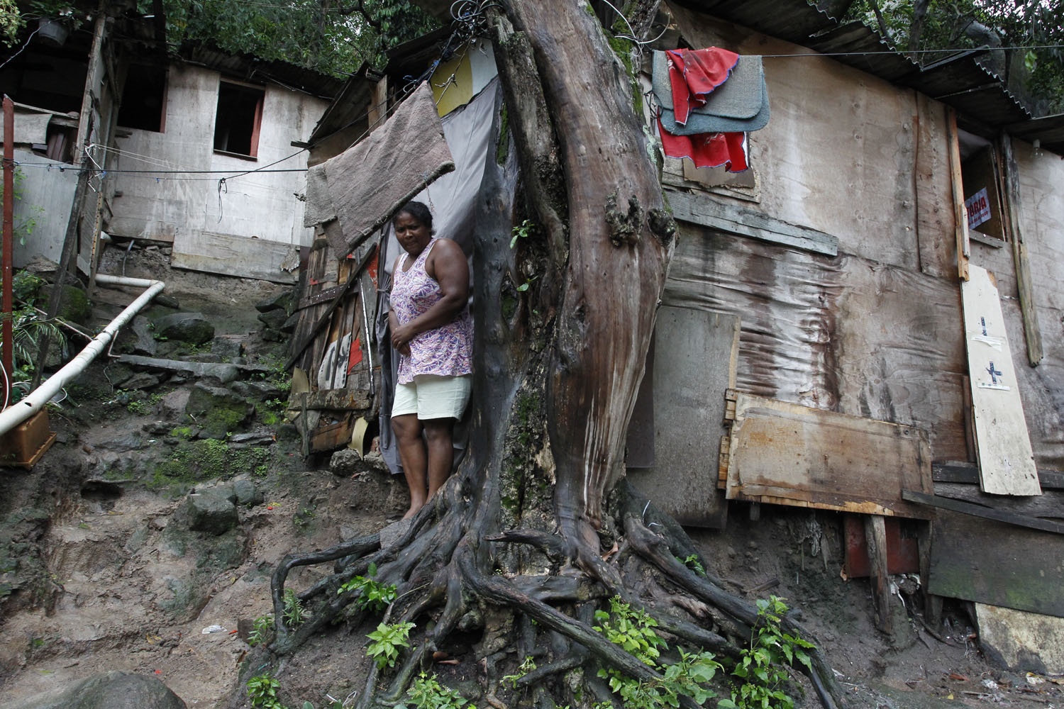 Foto de Custódio Coimbra No morro dos Macacos, no Grajaú, uma árvore ajuda a segurar a casa da moradora. Foto de Custódio Coimbra