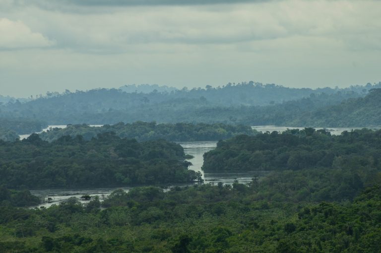 aaa