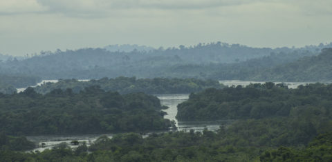 A área da mineradora Belo Sun, às margens do Rio Xingu - Foto André Teixeira