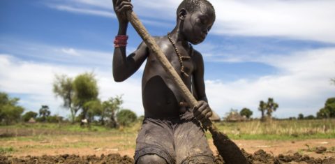 Jovem ajuda a família a preparar a terra para a plantação. O Sudão do Sul, onde vivem, é um dos países mais afetados pela fome no mundo. Foto Albert Gonzalez Farran/AFP