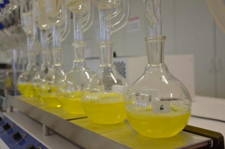 Pesquisas com óleo de macaúba na Embrapa Agroenergia. Foto Vivian Chies/Embrapa