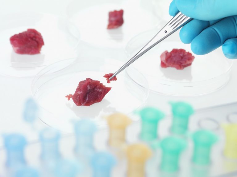Em 2013, um hamburguer gerado em laboratório custava 325 mil dólares. Hoje custa 11,26 dólares. ABO / Science Photo Library