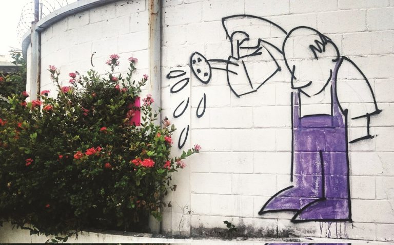 Até o dia 11/09, qualquer pessoa votar na foto que melhor representa a sustentabilidade nos dias de hoje. Foto Divulgação