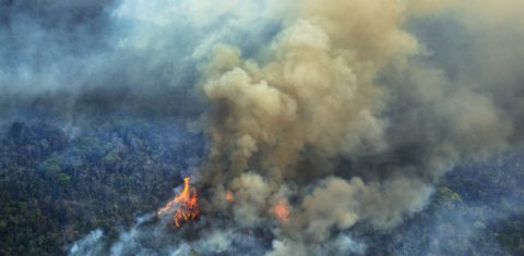 Dia do Meio Ambiente: Incêndios florestais na Amazônia, praga que se repete anualmente, estão em ritmo acelerado em 2019/2020 com aumento de grilagem e desmatamento (Foto Marizilda Cruppe/Greenpeace)