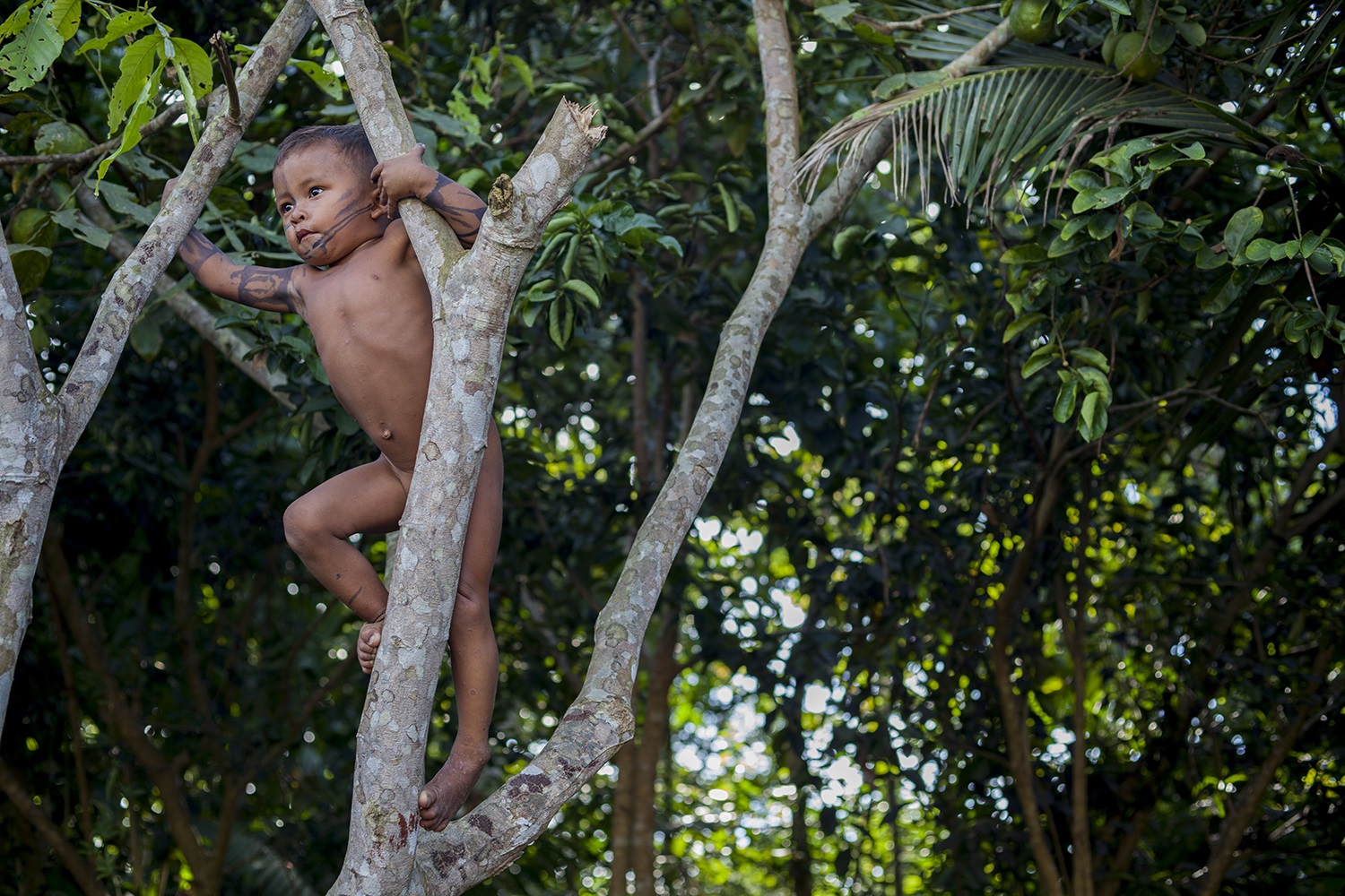 Foto Marizilda Cruppe Menino Munduruku brinca na aldeia Sawré Moybu, às margens do rio Tapajós, no Pará. Foto Marizilda Cruppe