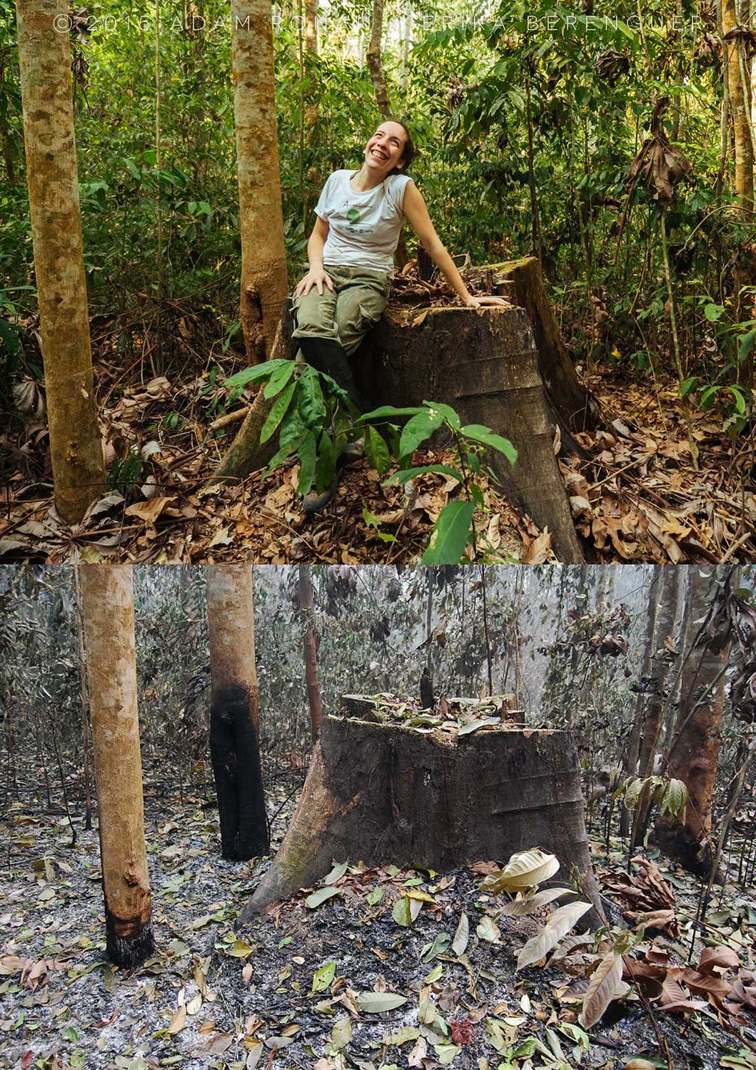 A pesquisadora Erika Berenguer numa foto com o antes e o depois dos incêncios (Foto arquivo pessoal)