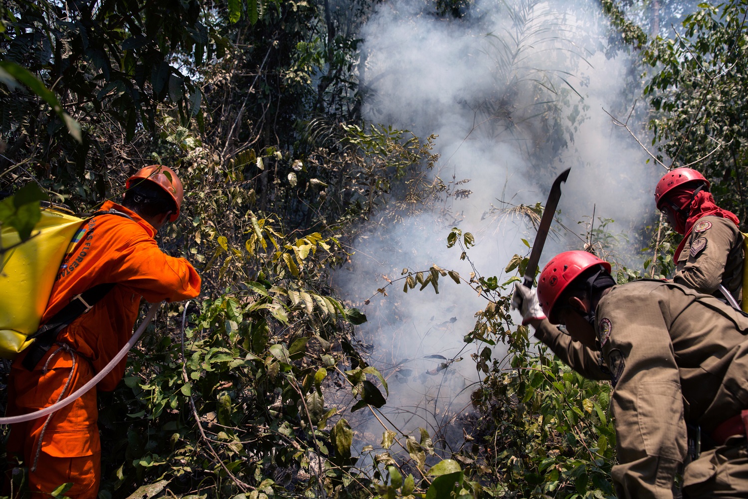 Foto: Marizilda Cruppe / Greenpeace. Índios Guajajara da Terra Indígena Arariboia e bombeiros do Maranhão tentam impedir que o fogo avance sobre a parte mais conservada de floresta. Foto: Marizilda Cruppe / Greenpeace.