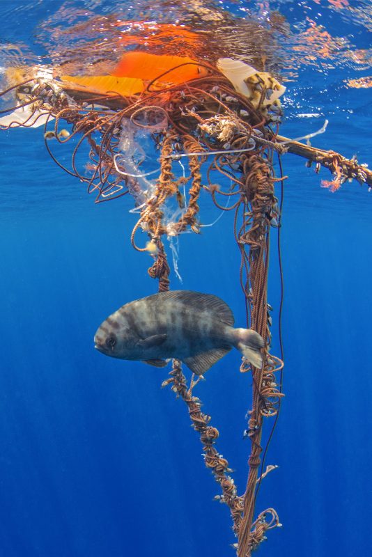 A cada ano, oito milhões de toneladas métricas de plástico vão parar no mar e essa quantidade poderá aumentar em dez vezes se não forem adotadas novas práticas de consumo e reciclagem. Foto Sérgio Hanquet/Fiosphoto