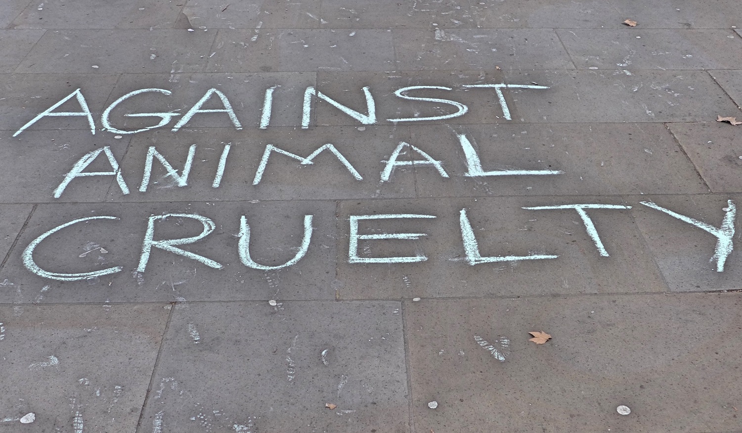 Foto Gail Orenstein/NurPhoto Em Londres, o protesto de ativistas contra a crueldade feita com os animais. Foto Gail Orenstein/NurPhoto