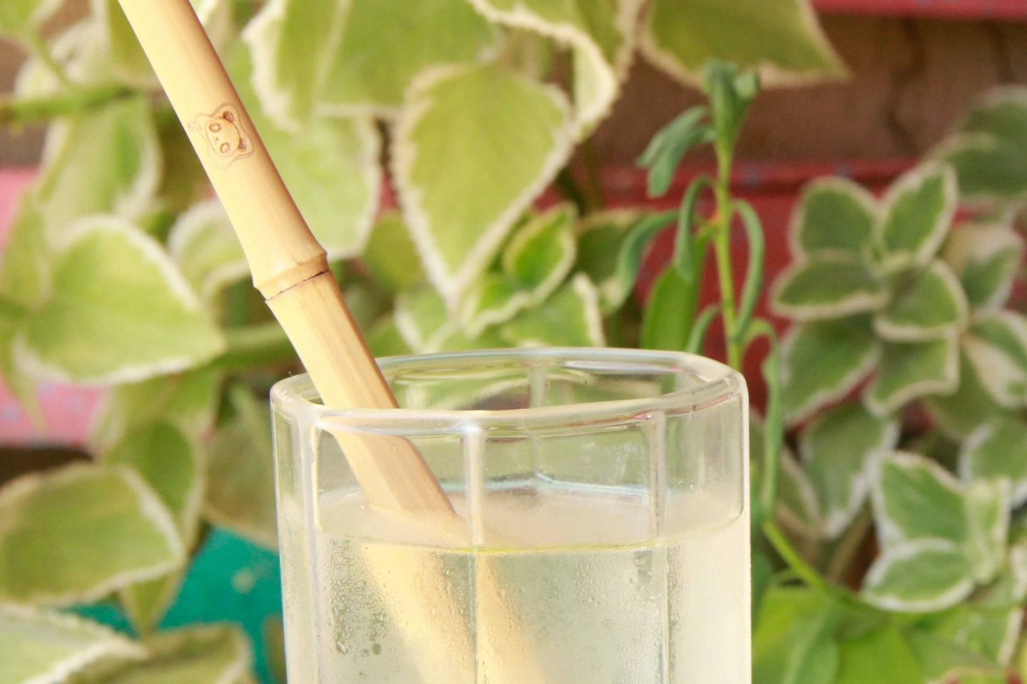 Canudos de bambu