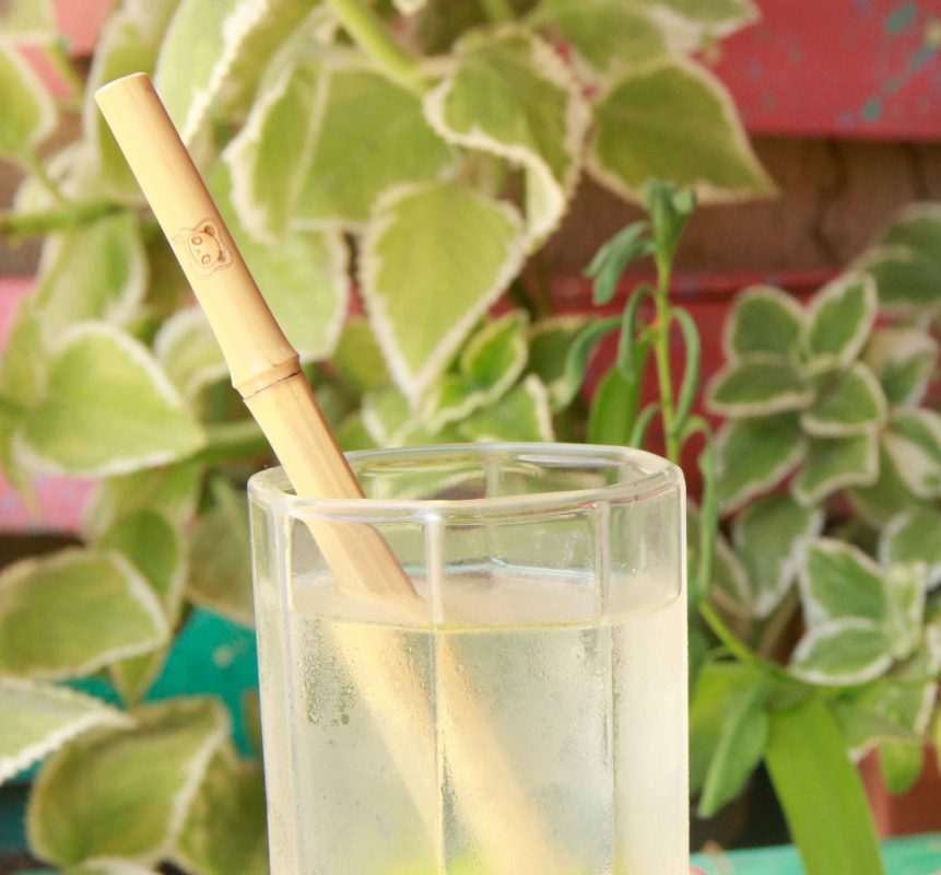 Canudos de bambu