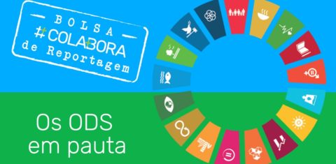 Bolsa #Colabora de Reportagem: candidatos terão até 5 de dezembro para suas pautas (Arte: Fernando Alvarus)