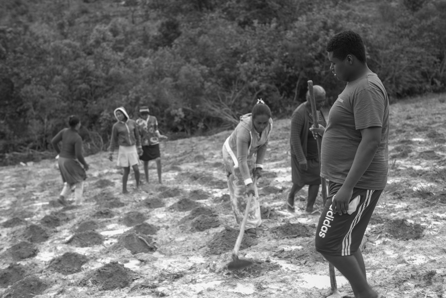 Foto João Roberto Ripper Os turistas que vão a Diamantina, importante cidade histórica mineira, localizada no Vale do Jequitinhonha, costumam levar de lembrança arranjos de sempre-vivas, flores secas do Cerrado, de grande beleza, que brotam em quantidade na Serra do Espinhaço. Foto João Roberto Ripper