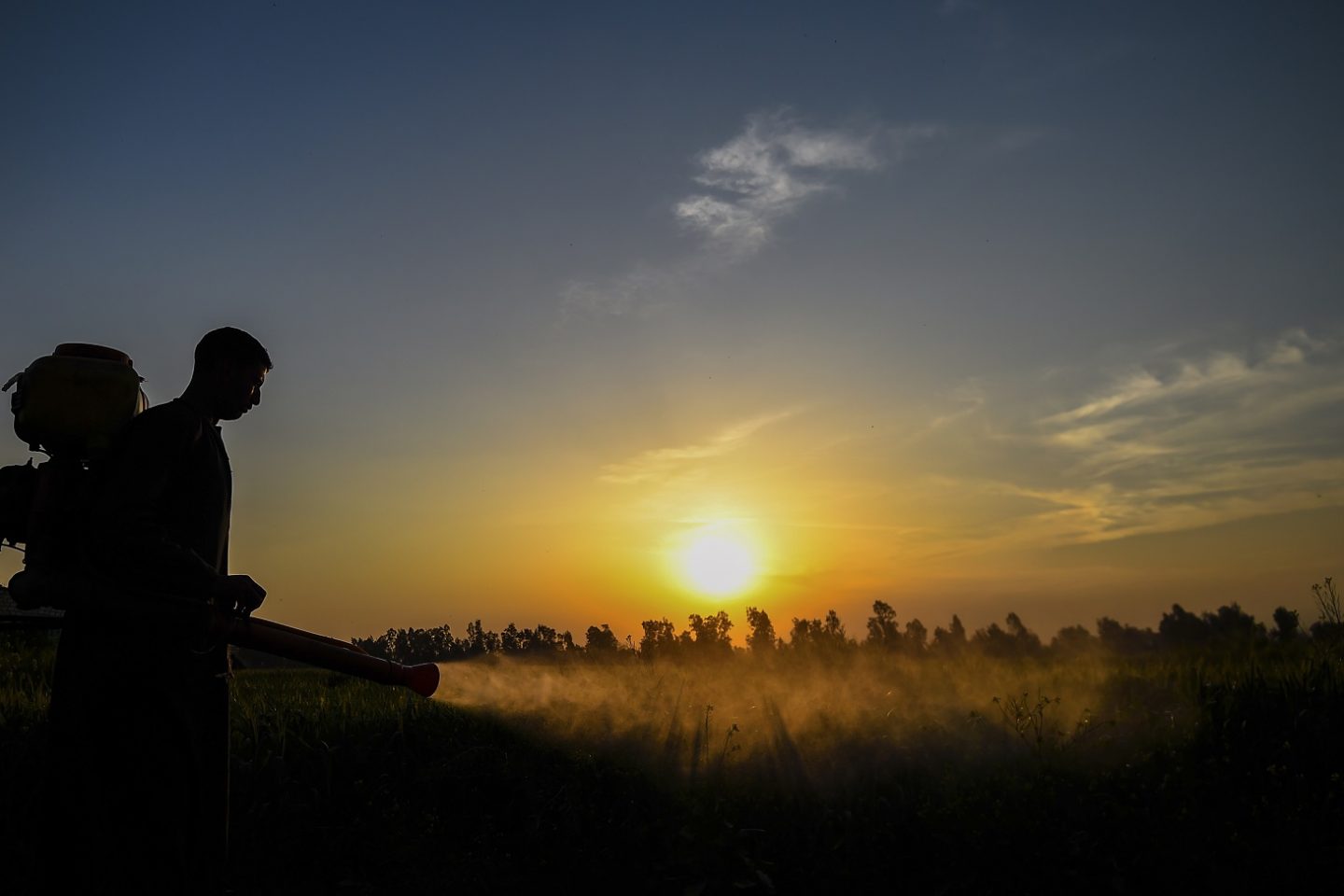 Cerca de 20% de todo o agrotóxico produzido no mundo é consumido no Brasil. Foto Mohamed el-Shahed(AFP)