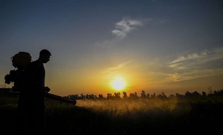 Cerca de 20% de todo o agrotóxico produzido no mundo é consumido no Brasil. Foto Mohamed el-Shahed(AFP)