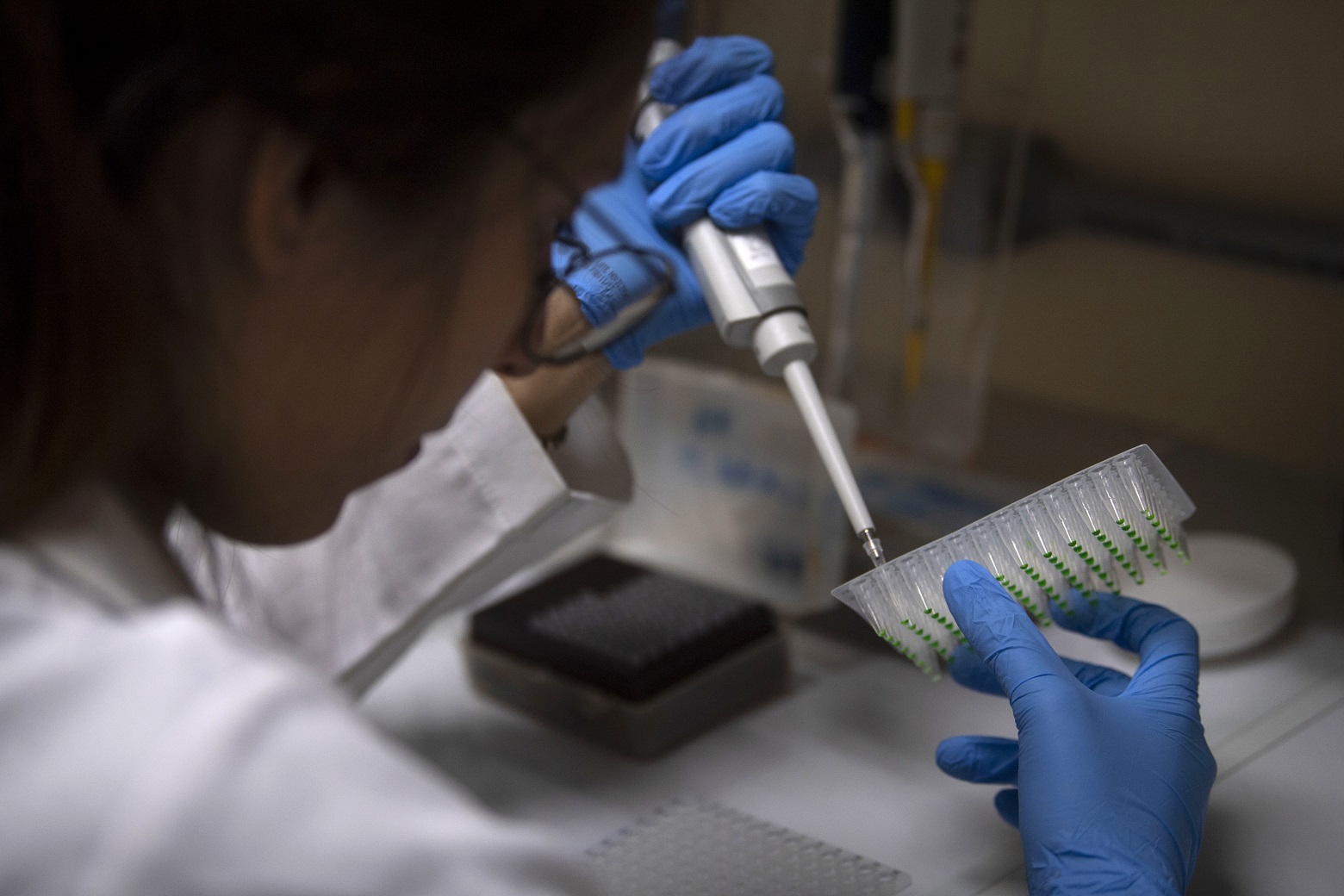 Estudante da Universidade Federal do Rio de Janeiro (UFRJ) trabalha no laboratório de biologia. Foto Mauro Pimentel/AFP