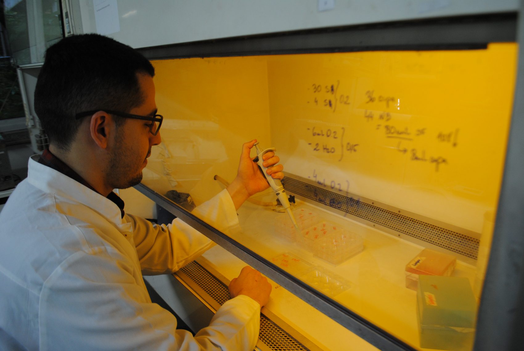 O pesquisador Fabiano Brito no Laboratório de Ecotoxicologia e Mutagênese Ambiental: extrato de fruto da erva-mate mata caramujo que ataca arroz (Foto: Cibele Carneiro)
