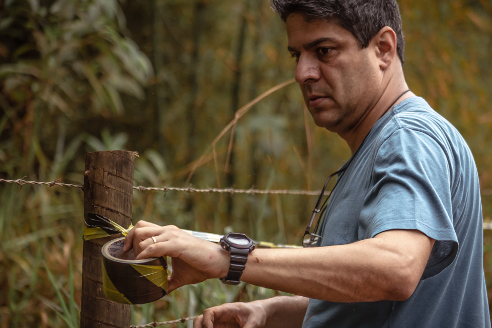 Universidade Federal de Juiz de Fora tem projeto, coordenado pelo pesquisador Paulo Henrique Peixoto, que identifica melhores espécies para recompor a mata na Bacia do Rio Doce (Foto: Divulgação/UFJF)