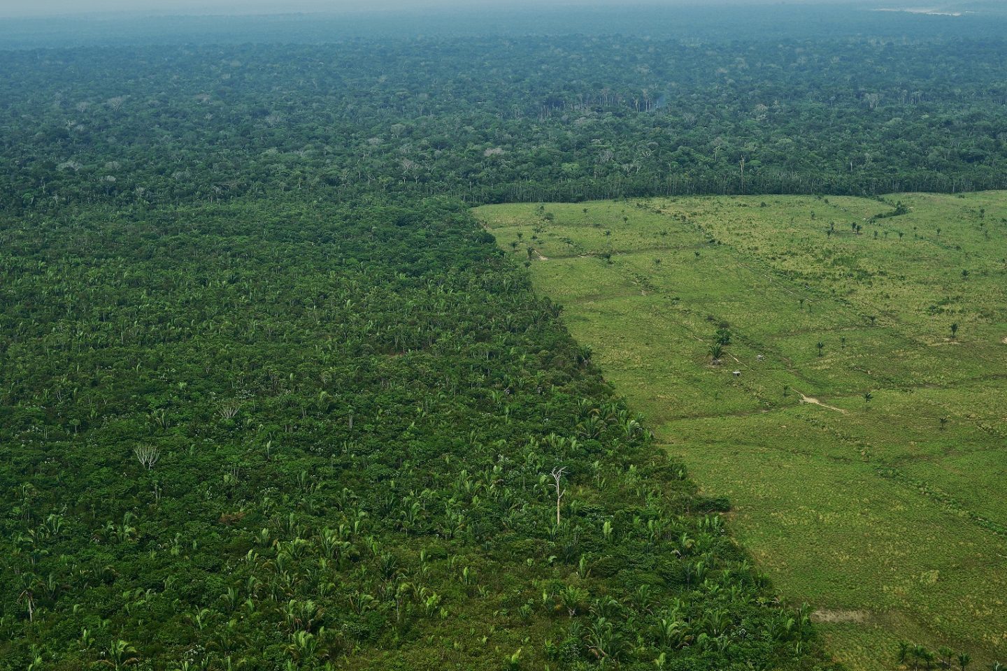 Vista aérea de uma região desmatada na Amazônia. Em julho, a destruição da floresta cresceu 278% . Foto Carl de Souza/AFP