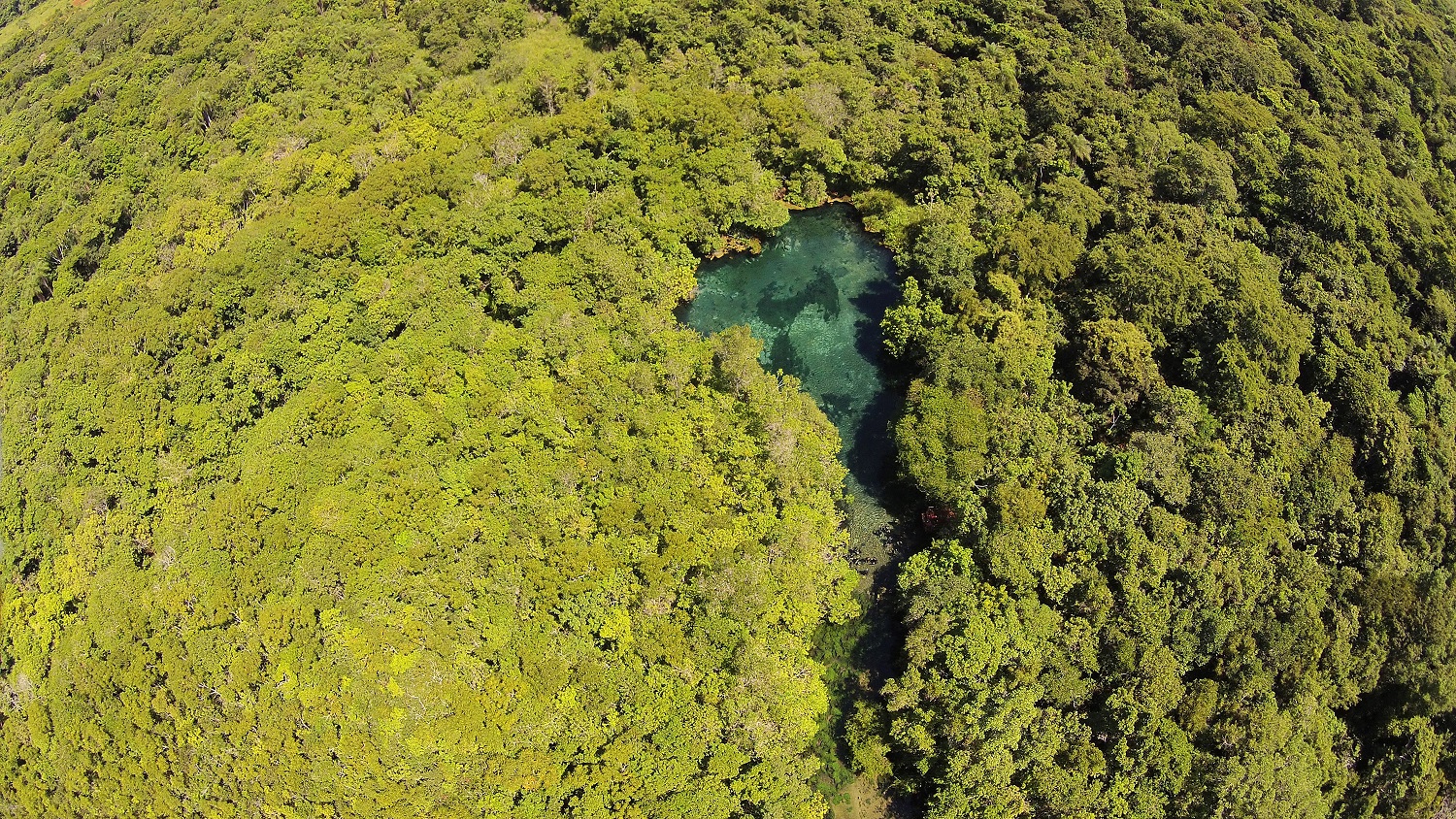 Nascente do Rio Olho D`Água, no Mato Grosso do Sul. O Cerrado brasileiro é uma das áreas mais ameaçadas pela escassez. Foto José Sabino/BPBES