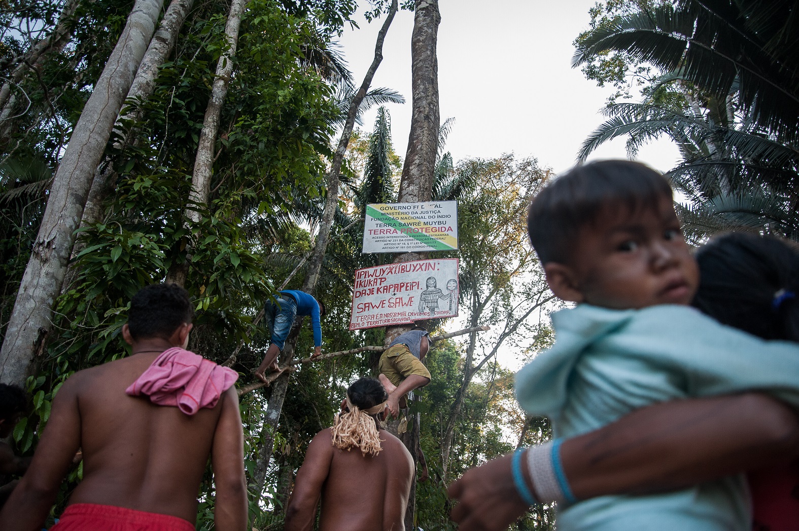 Foto Anderson Barbosa Indígenas colocam as placas indicativas de terras protegidas e demarcadas na região do rio Jamanxim, conhecido ponto de intensa atividade madeireira e garimpeira no estado do Pará.Foto Anderson Barbosa