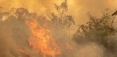 Os incêndios são, em sua maioria, criminosos e têm como objetivo preparar a área para a criação de gado. Foto Marcio Pimenta