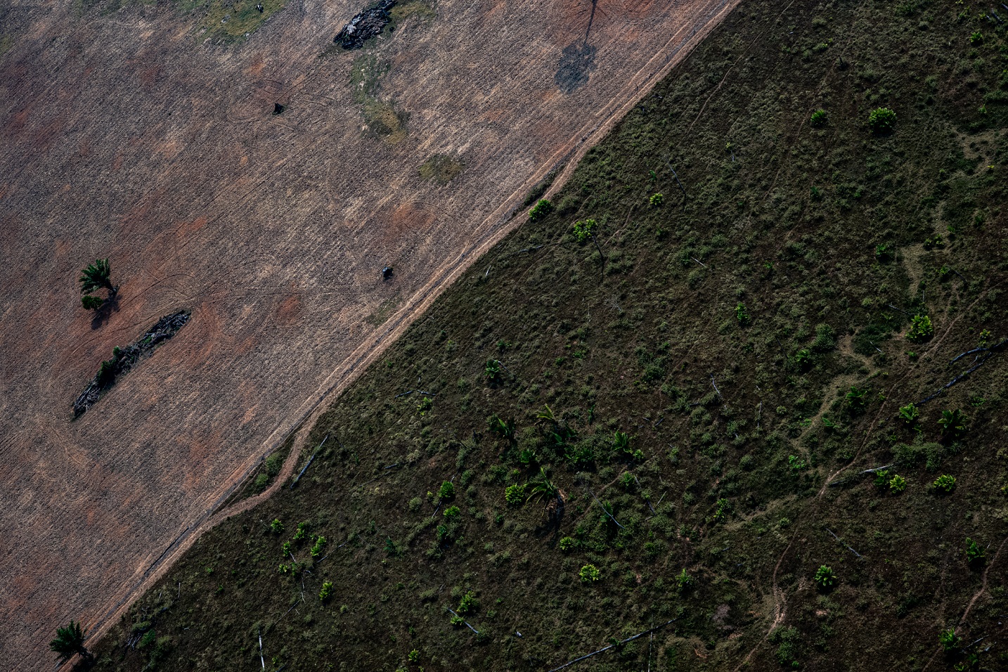 Foto Marcio Pimenta O contraste entre a vegetação natural e uma área com a intervenção das pegadas humanas. Foto Marcio Pimenta