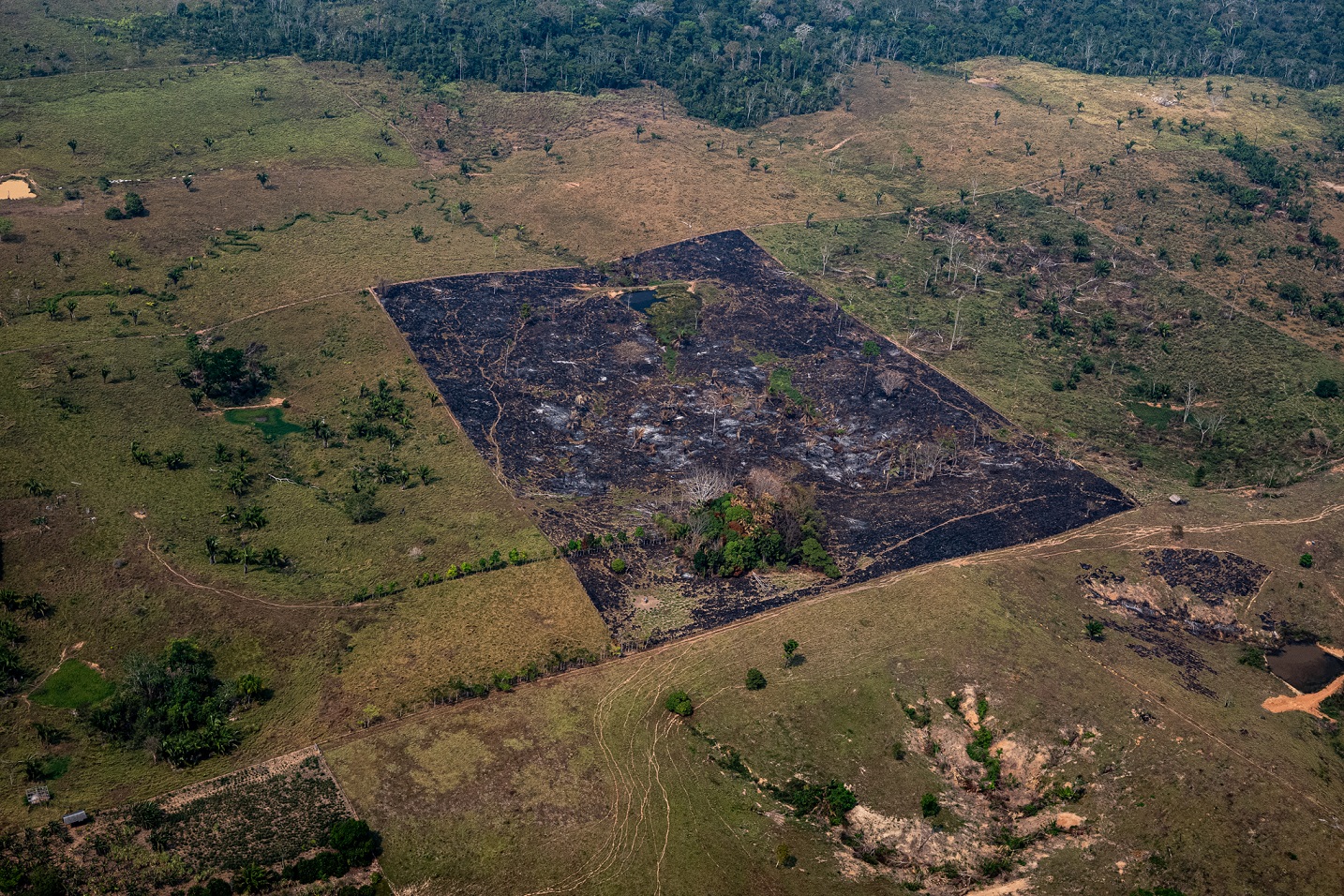 Foto Marcio Pimenta Como uma colcha de retalhos, a Amazônia perde parte da sua exuberância em troca do lucro de curto prazo. Foto Marcio Pimenta