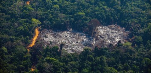 Vista aérea do desmatamento da Amazônia na região de Altamira, no Pará. Foto João Laet/AFP