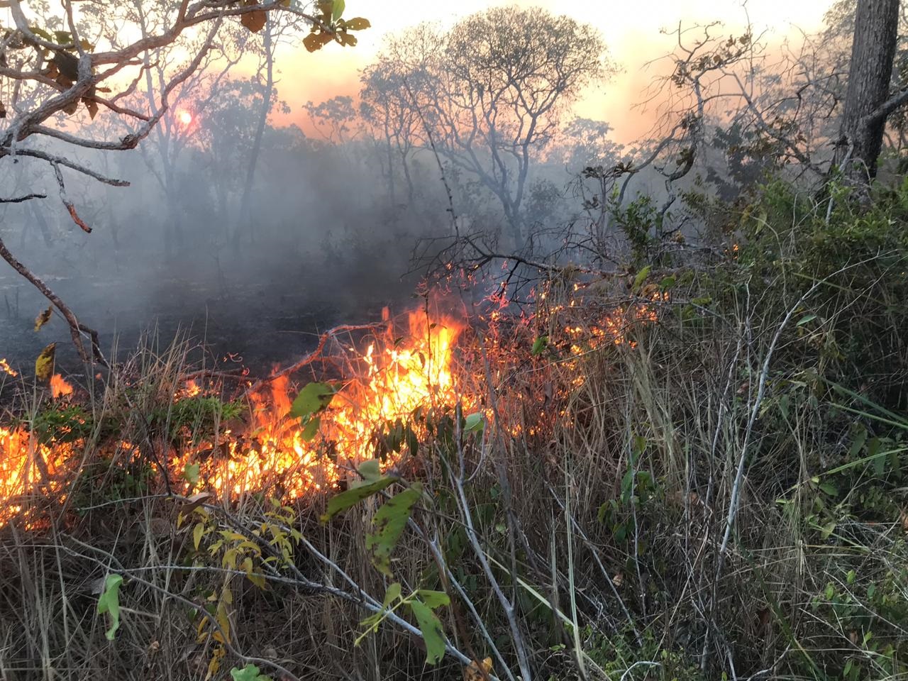 Entre os brigadistas, uma certeza: "Aqui não há combustão espontânea na mata. Certamente houve ação humana". Foto Divulgação