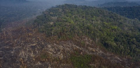 Imagem de desmatamento e queimada na terra indígena Uru-Eu Wau-Wau, na região conhecida como Grotão, em Campo Novo de Rondônia.Foto Marizilda Cruppe