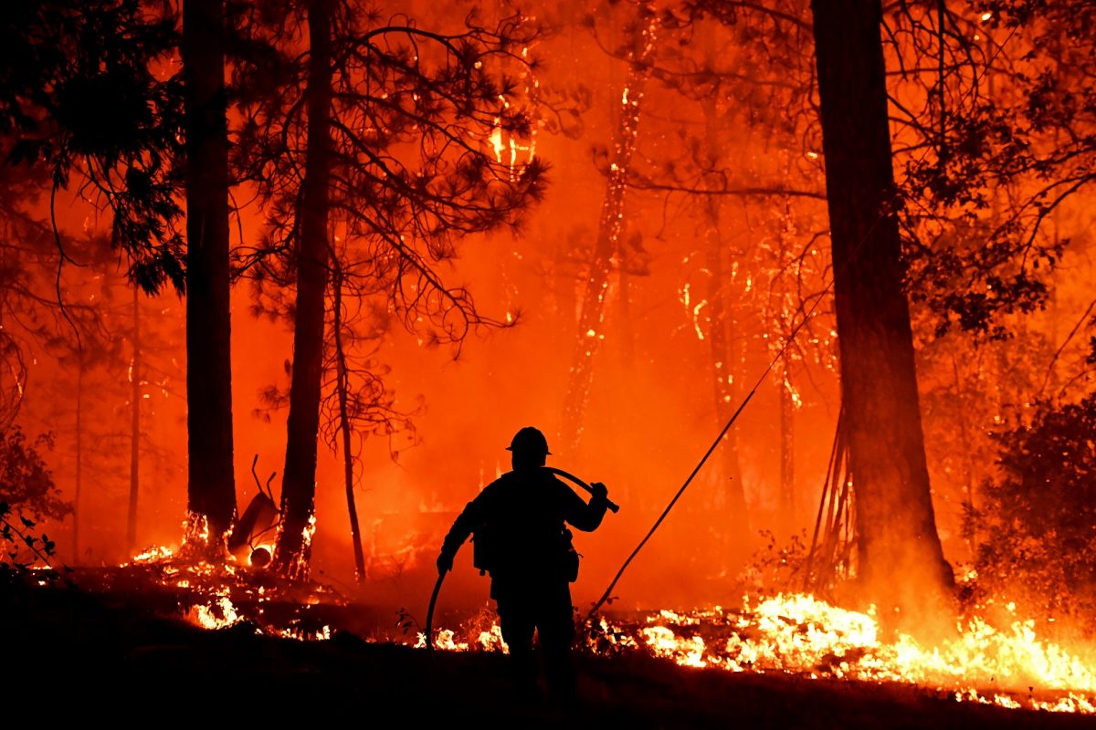 Bombeiros tentam controlar o fogo que em 2018, atingiu a Shasta Trinity National Forest, na Califórnia. Foto Josh Edelson/AFP