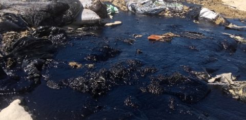 A paia de Itapuama, no litoral Sul de Pernambuco, foi uma das mais atingidas. Mais de 1.300 toneladas de óleo já foram retiradas nos últimos oito dias. Foto Michelly Lira
