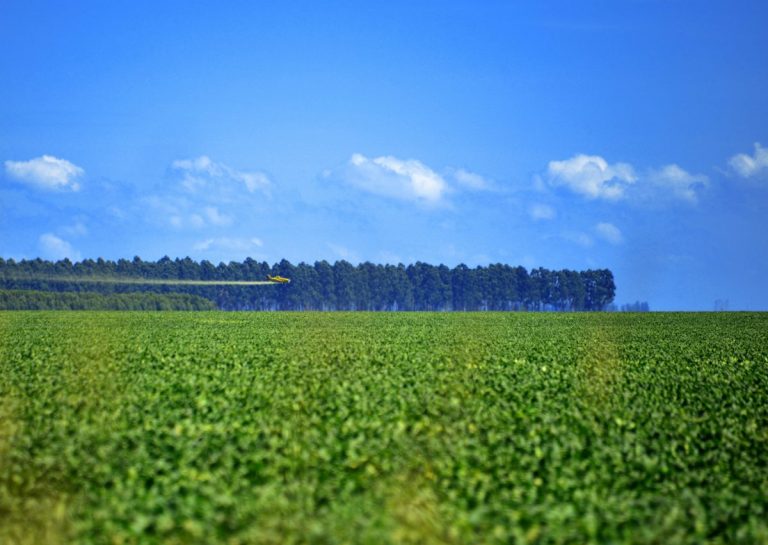 Aviao sobrevoando fazenda de soja para jogar agrotoxico. Foto de Mirian Fichtner