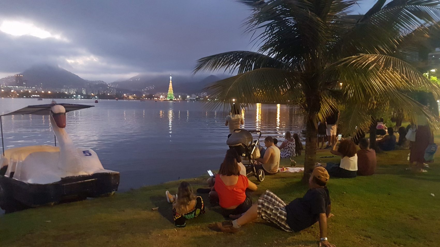 Pedalinhos na água para ficar mais perto, fotos para quem está em terra firme: árvore flutuante é atração desde 1996 (Foto: Oscar Valporto)