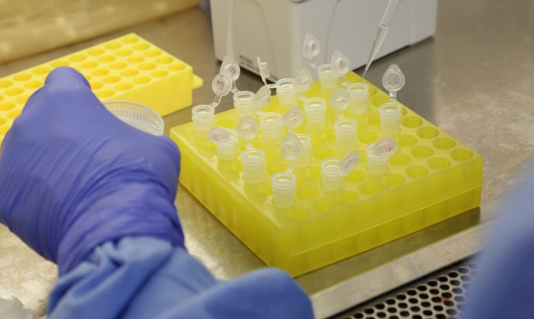 Testes de casos suspeitos do novo coronavírus no laboratório da Fiocruz: falta de informações sobre número de leitos e testes na grande maioria dos estados foi criticada por organização especializada em transparência (Foto: Josué Damasceno/Fiocruz)