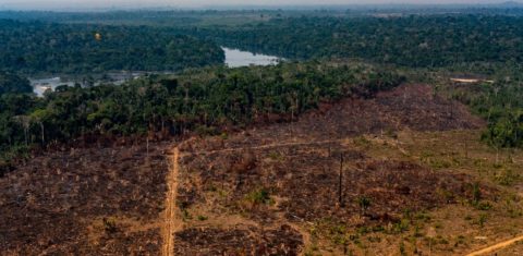 Foto colorida de área de floresta derrubada no noroeste do Mato Grosso: análise aponta que desmatamento deve levar Brasil a ter aumento nas emissões apesar da pandemia (Mayke Toscano/Secom/MT)