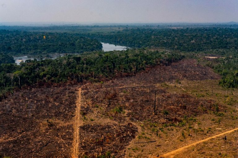 Área de floresta derrubada no noroeste do Mato Grosso: análise aponta que desmatamento deve levar Brasil a ter aumento nas emissões apesar da pandemia (Mayke Toscano/Secom/MT)