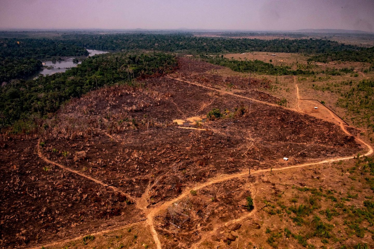 Área de floresta derrubada no noroeste do Mato Grosso: relatório do Mapbiomas mostra que 99% do desmatamento é ilegal e os responsáveis por 75% das áreas desmatadas podem ser identificados( Foto: Mayke Toscano/Secom/MT/Fotos Públicas)